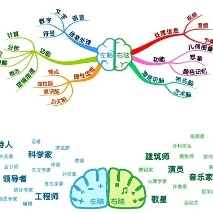 我校重磅推出—全脑课