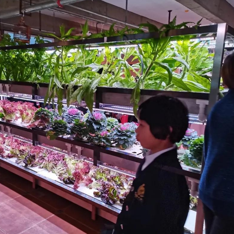 【综合实践活动】感知自然，让生命教育更有温度！