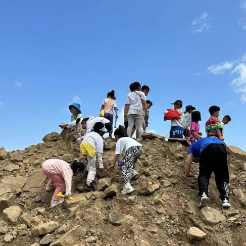 疯狂的“石头” | 探索埋藏亿万年的秘密  