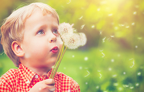 教育的社会功能未能与其他社会问题的解决